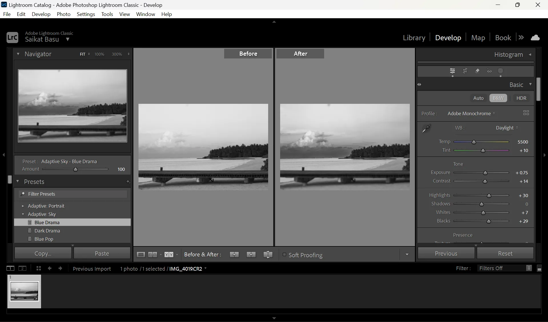 Ảnh so sánh trước và sau khi áp dụng filter trong Lightroom, minh họa sự thay đổi màu sắc và chi tiết ảnh