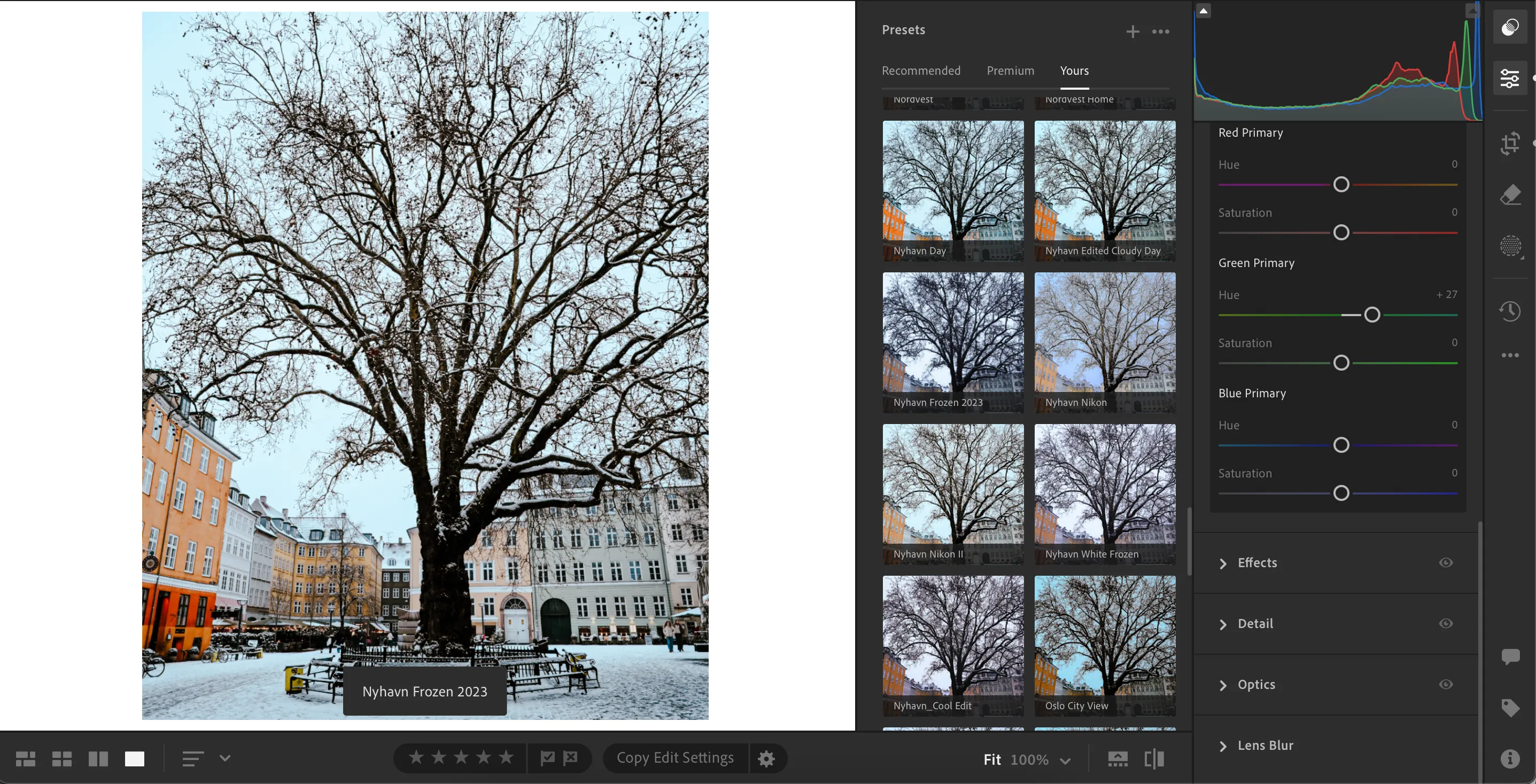 Bộ sưu tập preset đa dạng trong Adobe Lightroom, giúp duy trì sự nhất quán cho phong cách ảnh.