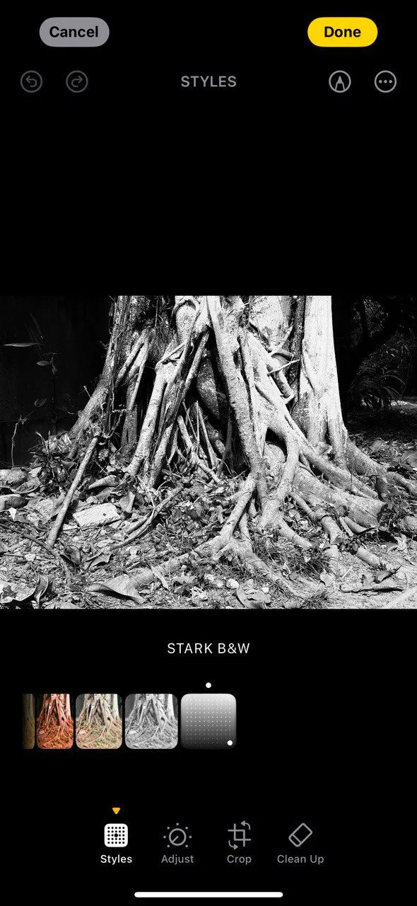 Bức ảnh đen trắng ấn tượng với Photographic Style Stark B&amp;W, tăng cường độ tương phản và chi tiết bóng