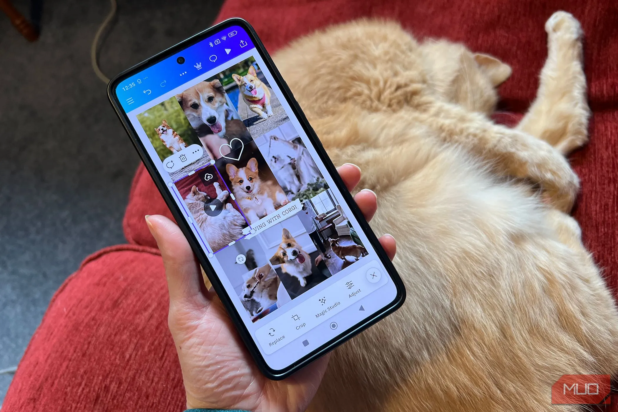 Canva cho phép chỉnh sửa video dễ dàng trên điện thoại Android