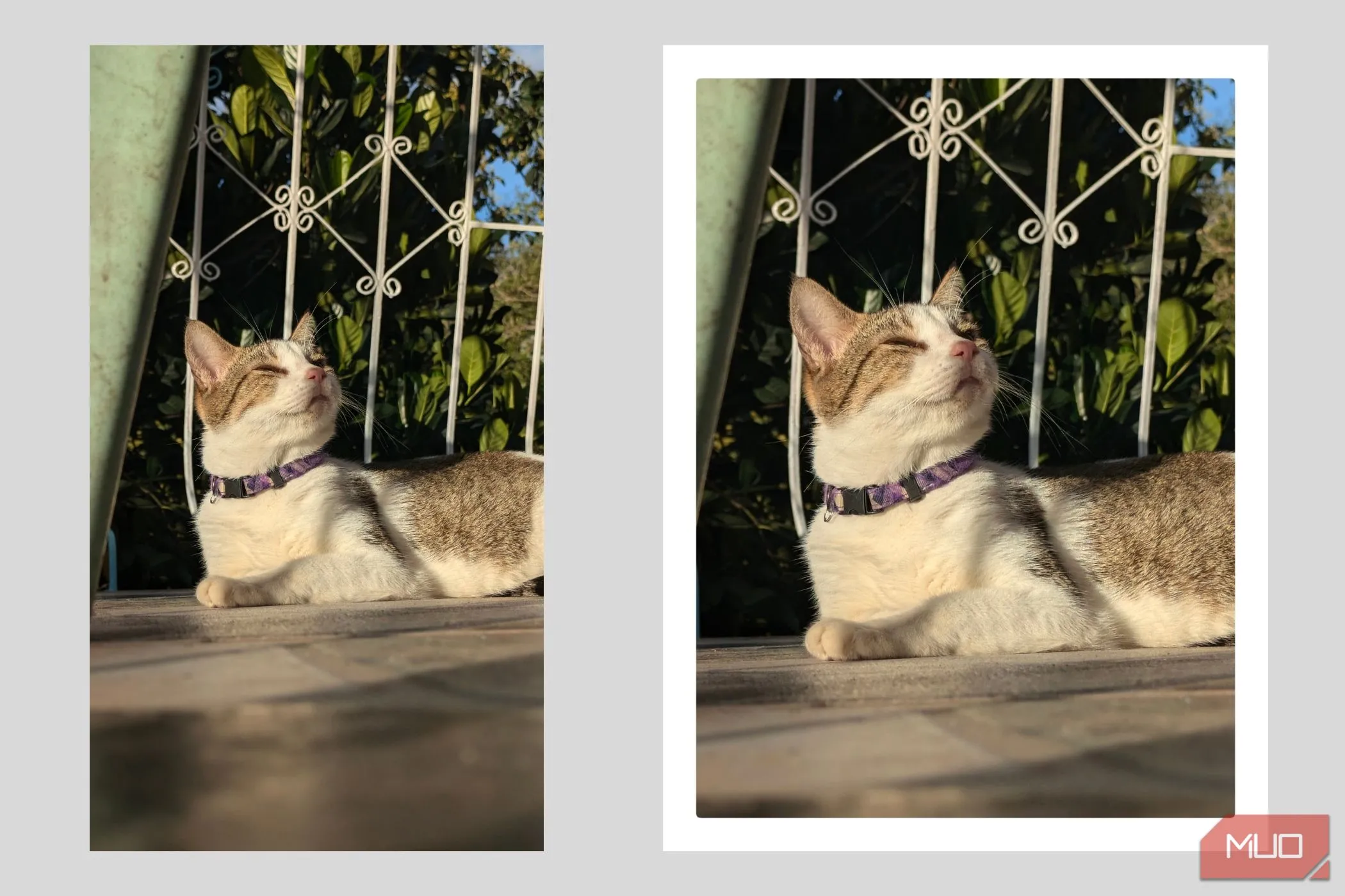 Cắt ảnh và thêm viền để tạo phong cách ảnh Polaroid retro
