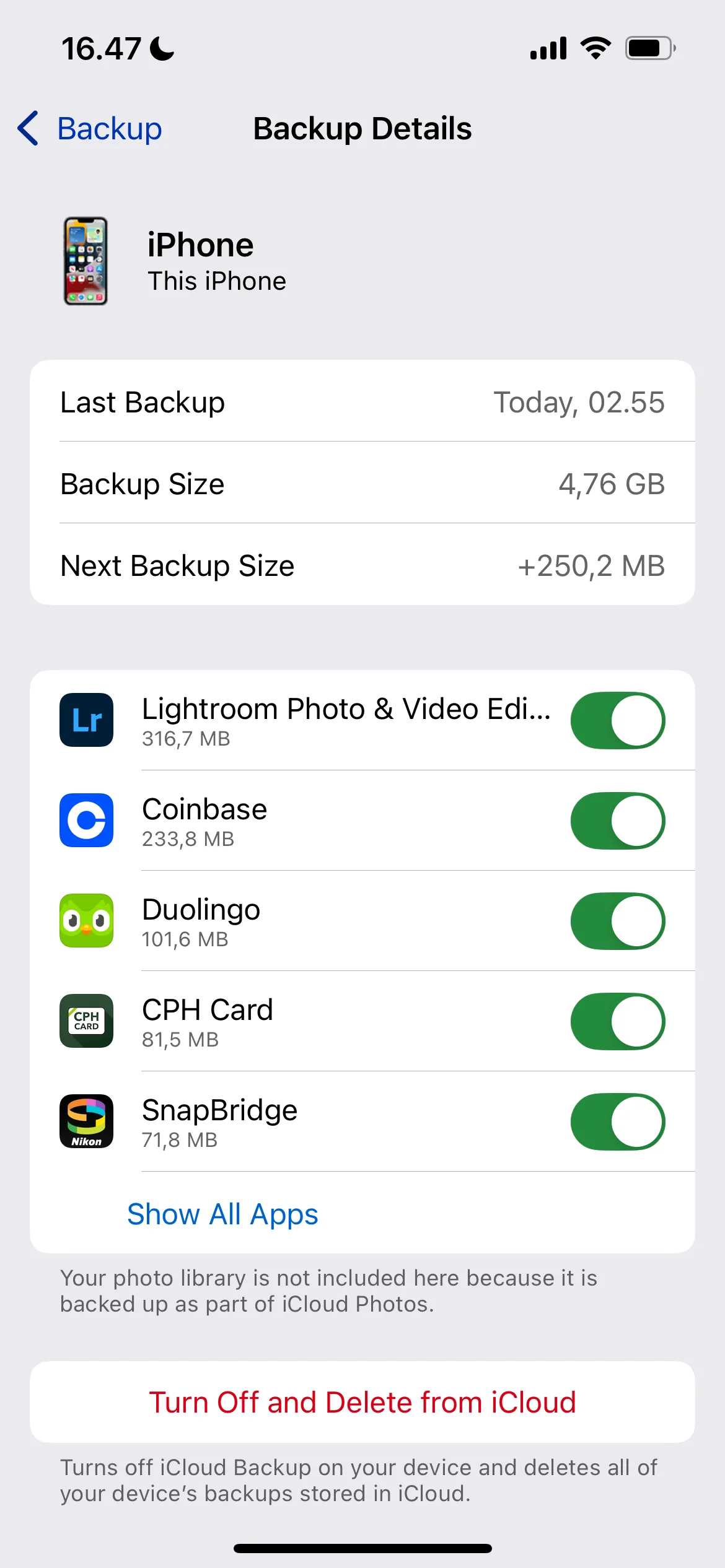 Chọn các chi tiết sao lưu iCloud khác nhau trong ứng dụng