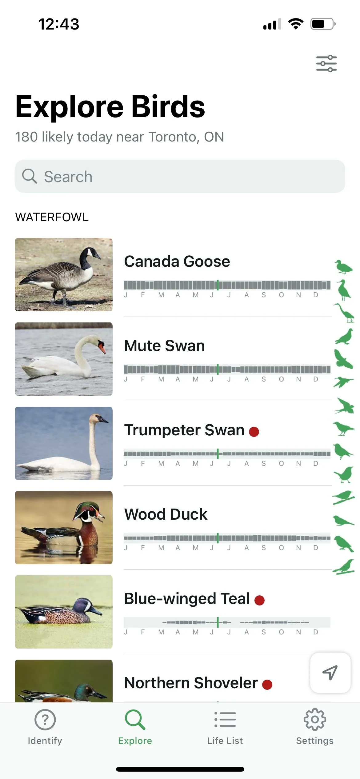 Chức năng nhận diện chim bằng âm thanh của Merlin Bird ID với biểu đồ sóng âm