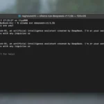 DeepSeek-R1 chạy trong cửa sổ Terminal trên máy tính