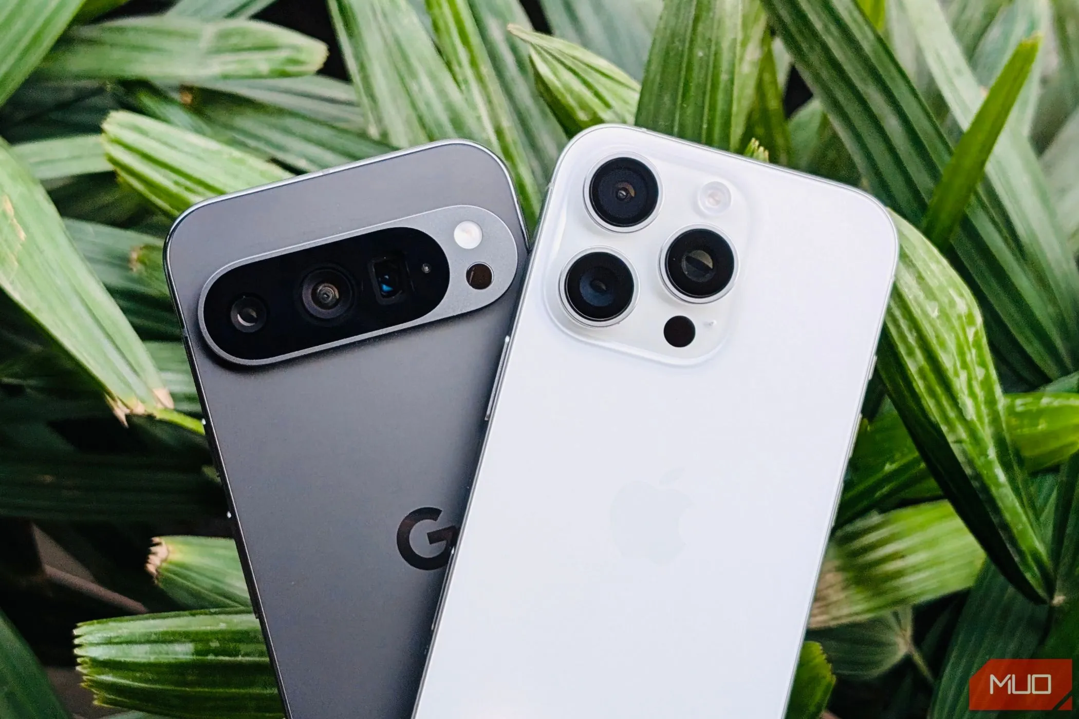 Điện thoại Pixel 9 Pro và iPhone 16 Pro đặt cạnh nhau phía trước một cây cảnh