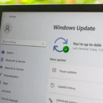 Giao diện cài đặt Windows 11 hiển thị tùy chọn cập nhật hệ thống Windows