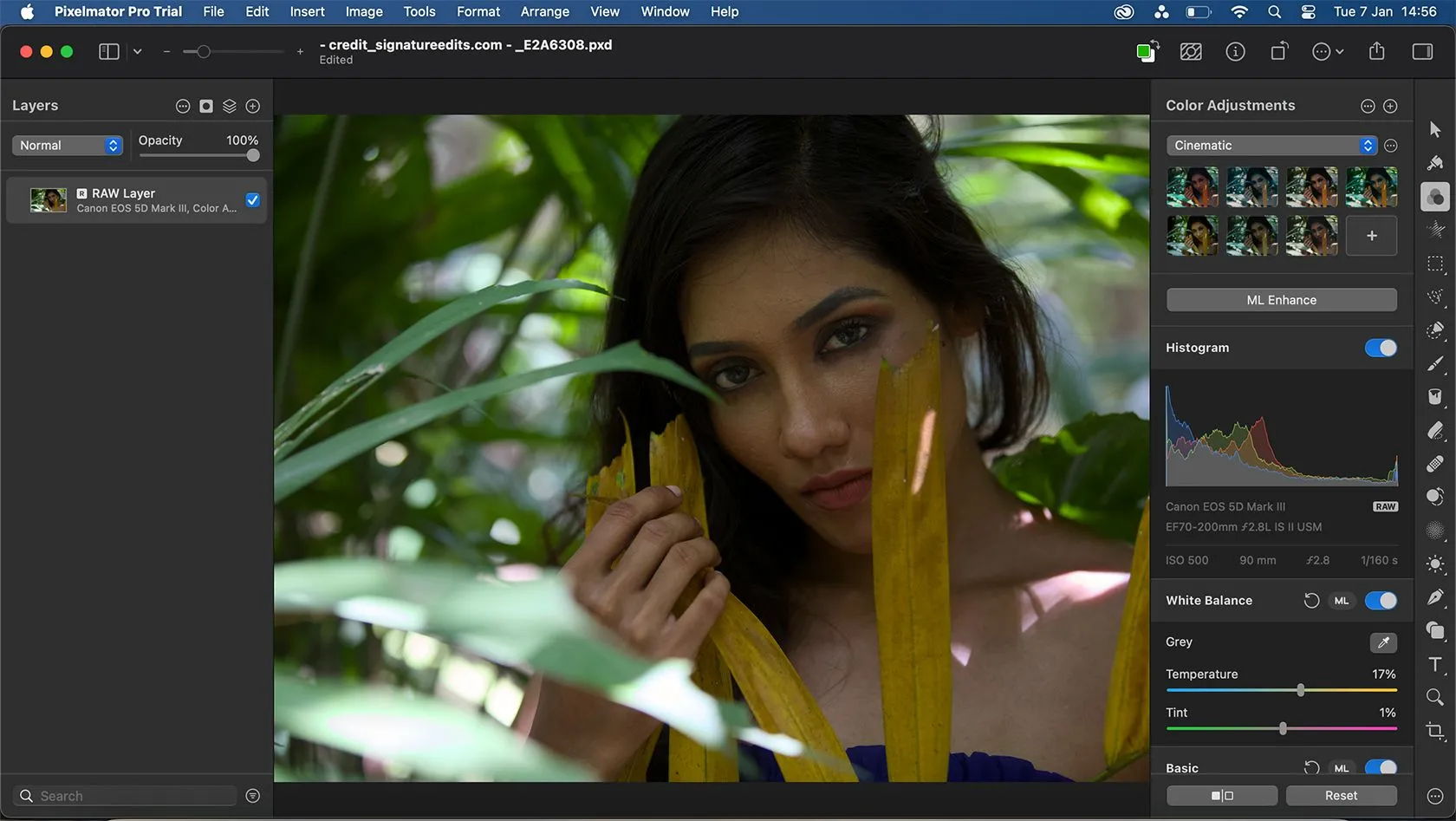 Giao diện chỉnh sửa ảnh RAW trong Pixelmator Pro, cho phép điều chỉnh các yếu tố trong lớp.
