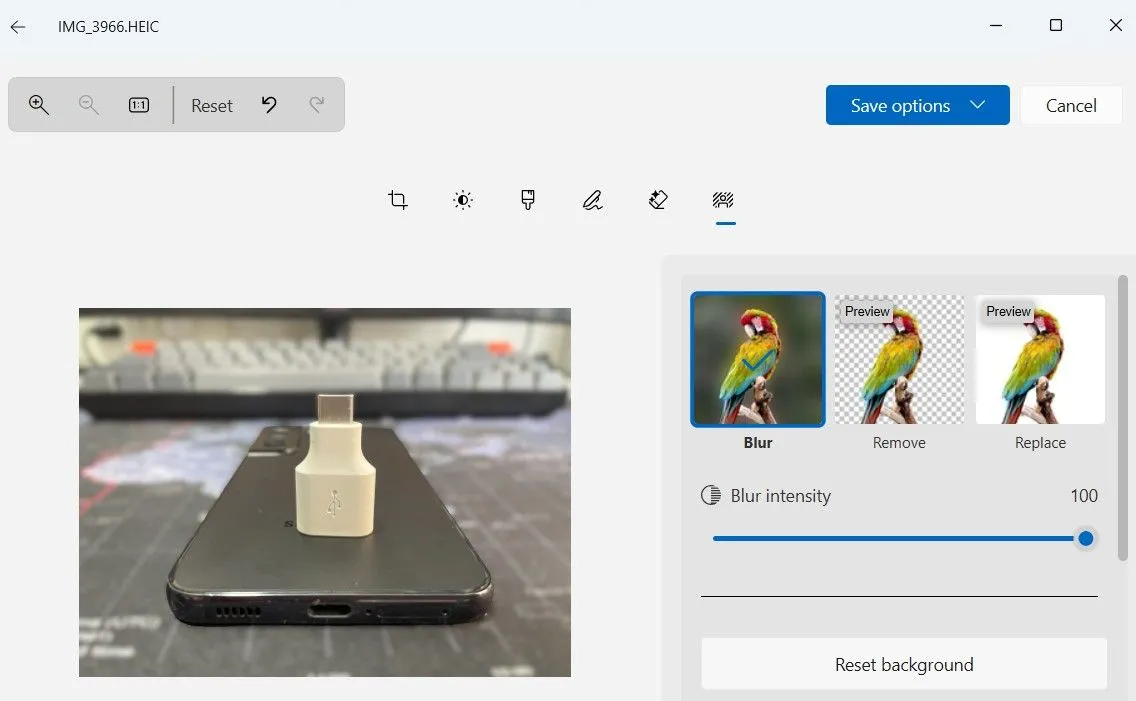 Giao diện công cụ xóa nền trong ứng dụng Photos Windows 11, hiển thị tùy chọn làm mờ, xóa hoặc thay thế nền