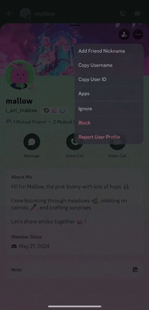 Giao diện hồ sơ người dùng Discord với tùy chọn ba chấm để truy cập menu cài đặt