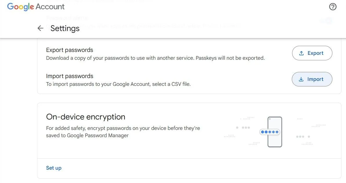 Giao diện nhập mật khẩu từ file CSV vào Google Password Manager