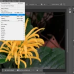 Giao diện Photoshop và tùy chọn Camera Raw Filter để truy cập Lens Blur.