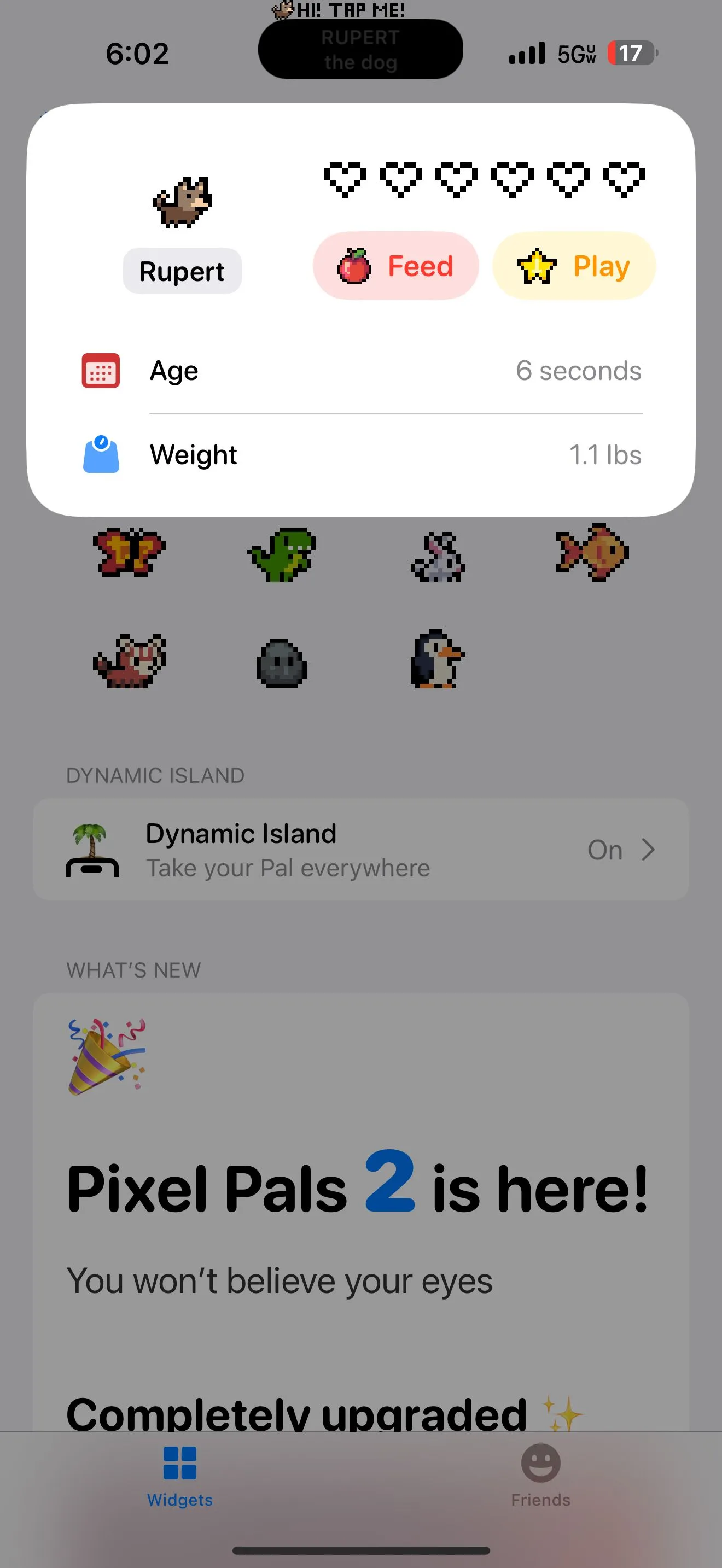 Giao diện Pixel Pals hiển thị thông tin chú chó trên Dynamic Island