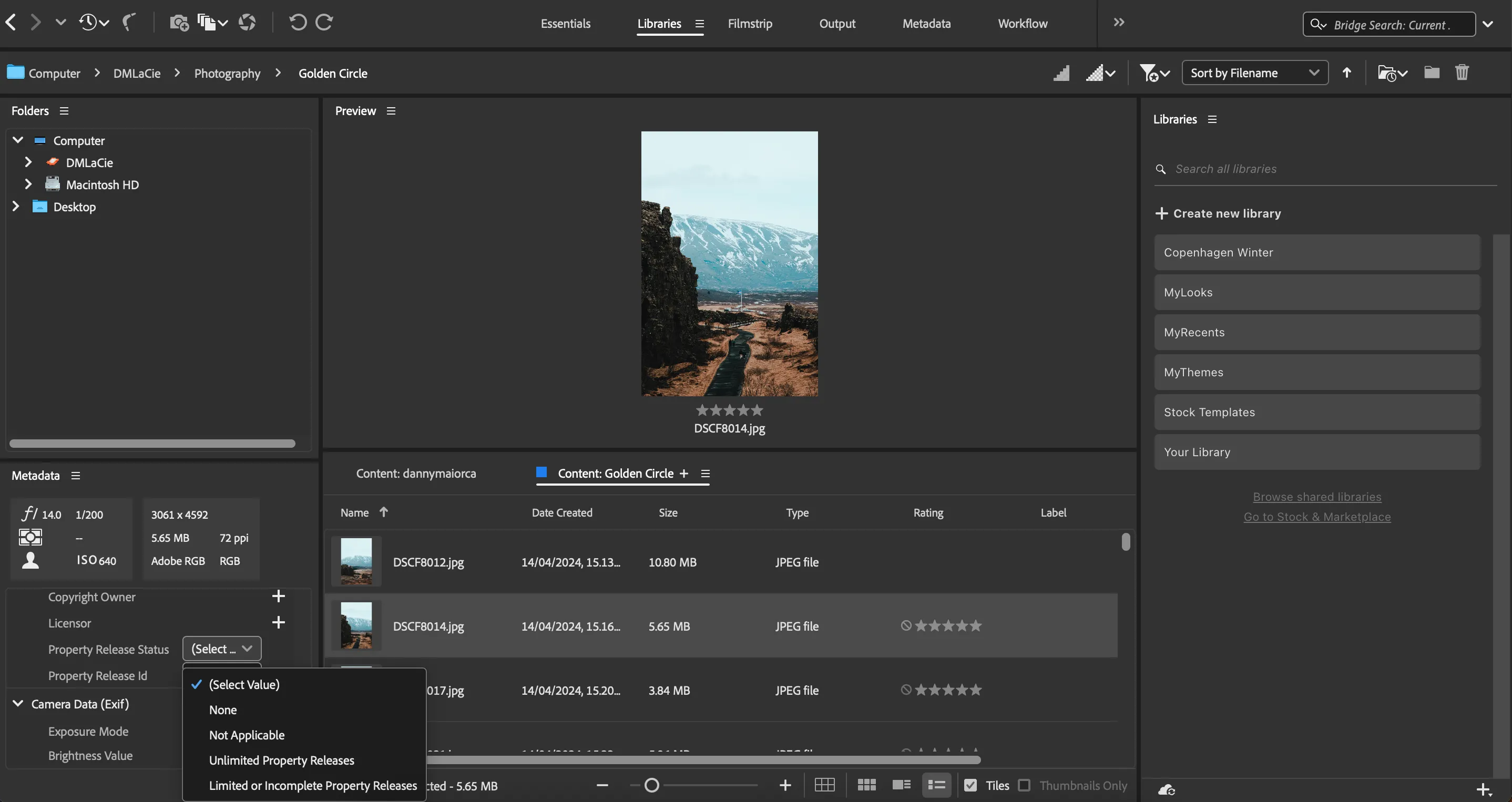 Giao diện thêm thông tin ID tài sản trong Adobe Bridge