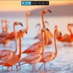 Giao diện tính năng quay video màn hình của Snipping Tool trên Windows 11 với tùy chọn micro và âm thanh hệ thống