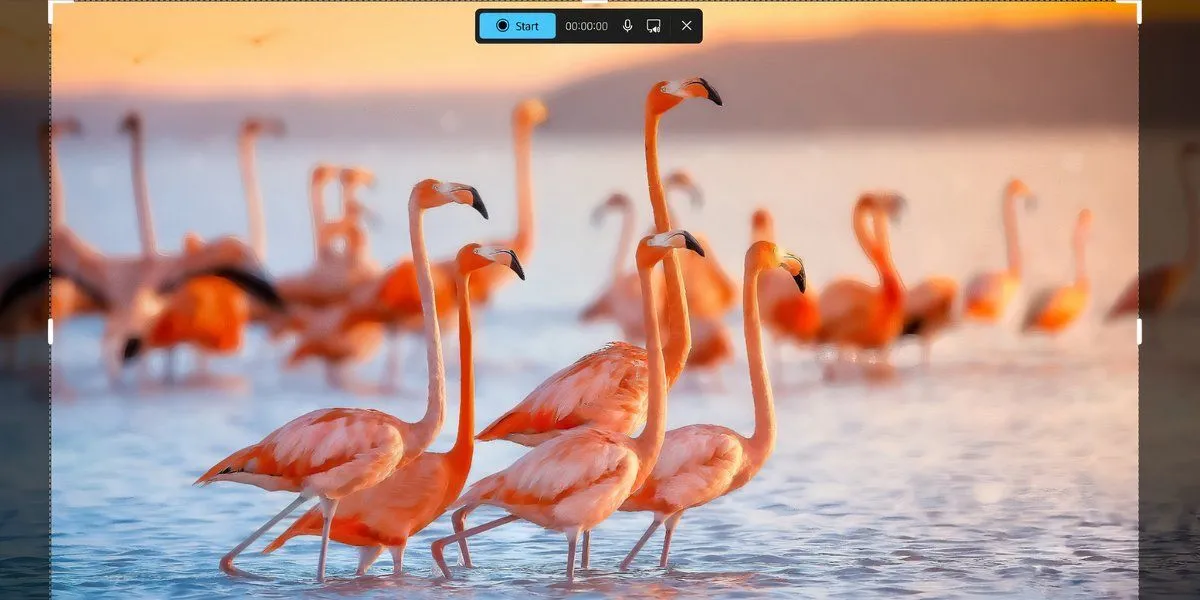 Giao diện tính năng quay video màn hình của Snipping Tool trên Windows 11 với tùy chọn micro và âm thanh hệ thống