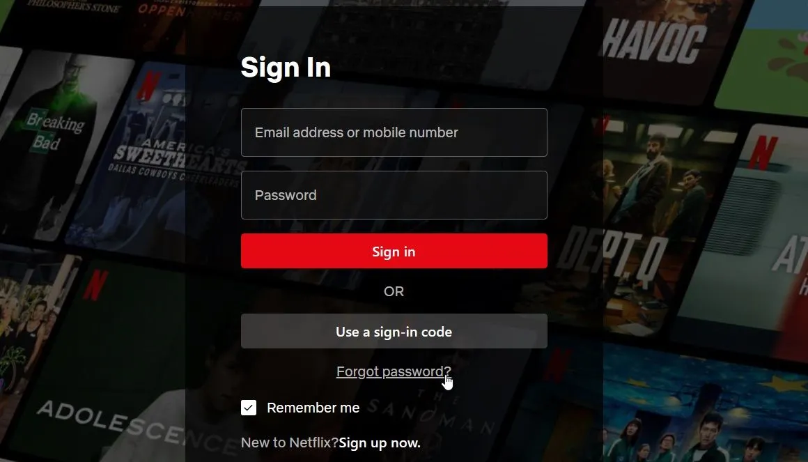 Giao diện trang trợ giúp đăng nhập Netflix với tùy chọn khôi phục mật khẩu