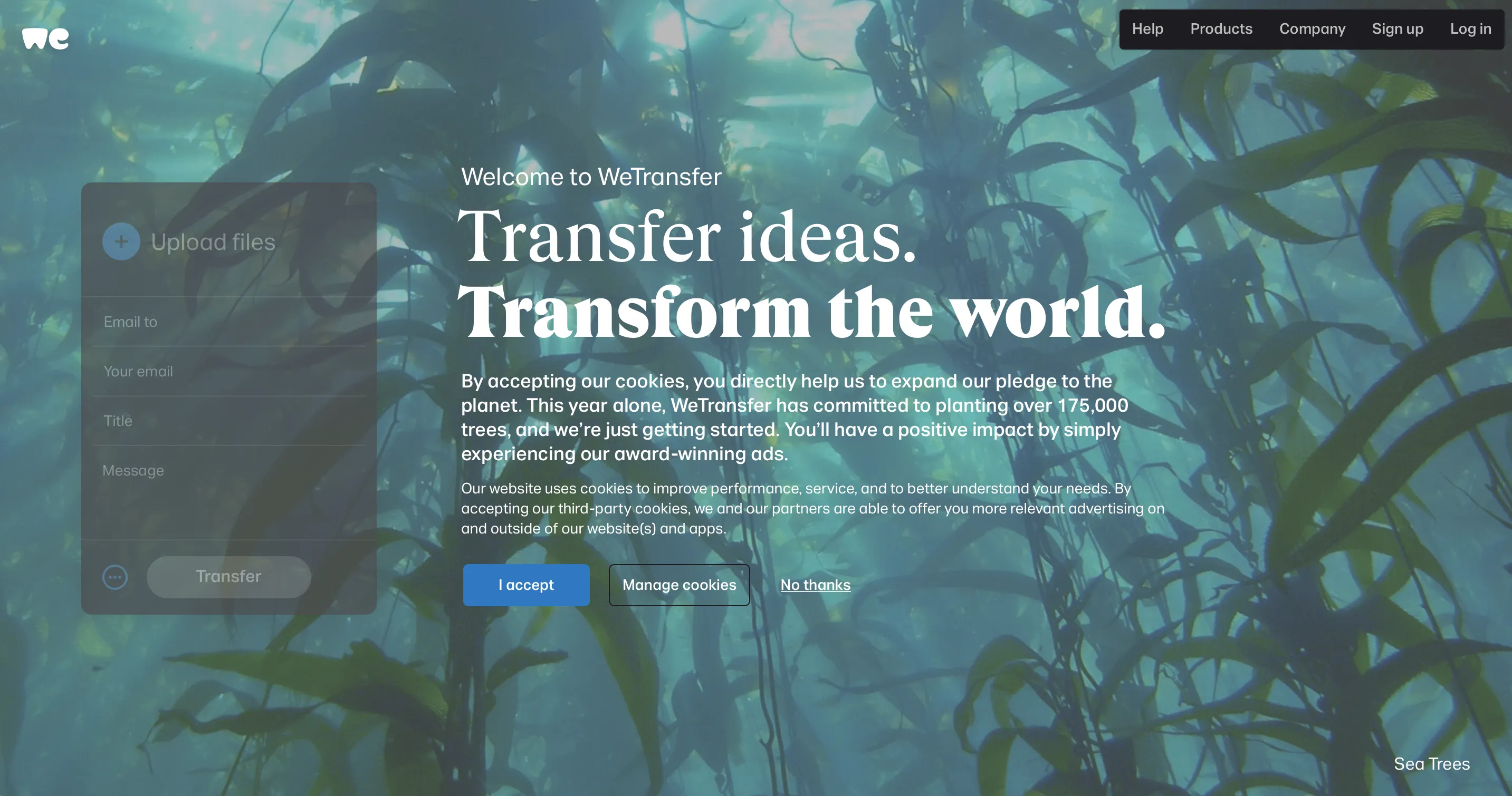 Giao diện WeTransfer với tùy chọn gửi tệp và nhập email người nhận.