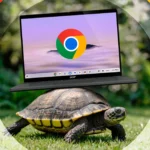 Hình ảnh một con rùa cõng laptop Chromebook, minh họa cho việc Google Chrome bị chậm do dung lượng cache lớn.