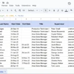 Kết quả hàm VLOOKUP trong Google Sheets minh họa tìm kiếm thông tin nhân viên "Saniya" từ cột B và trả về dữ liệu từ cột thứ 9.
