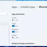 Kiểm soát quyền ứng dụng WhatsApp trên Windows 11 qua Cài đặt