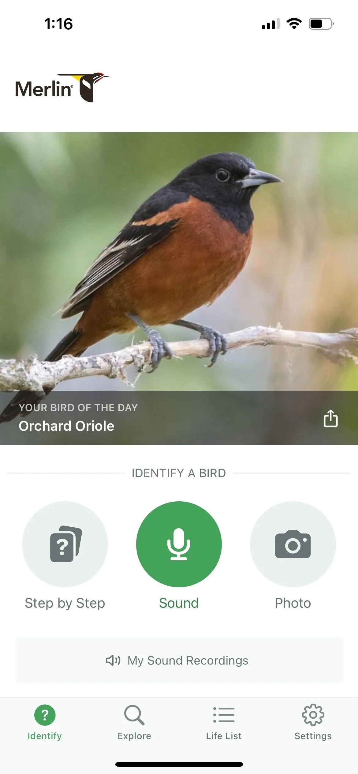 Màn hình chính ứng dụng Merlin Bird ID hiển thị danh sách chim và tùy chọn ghi âm để nhận diện