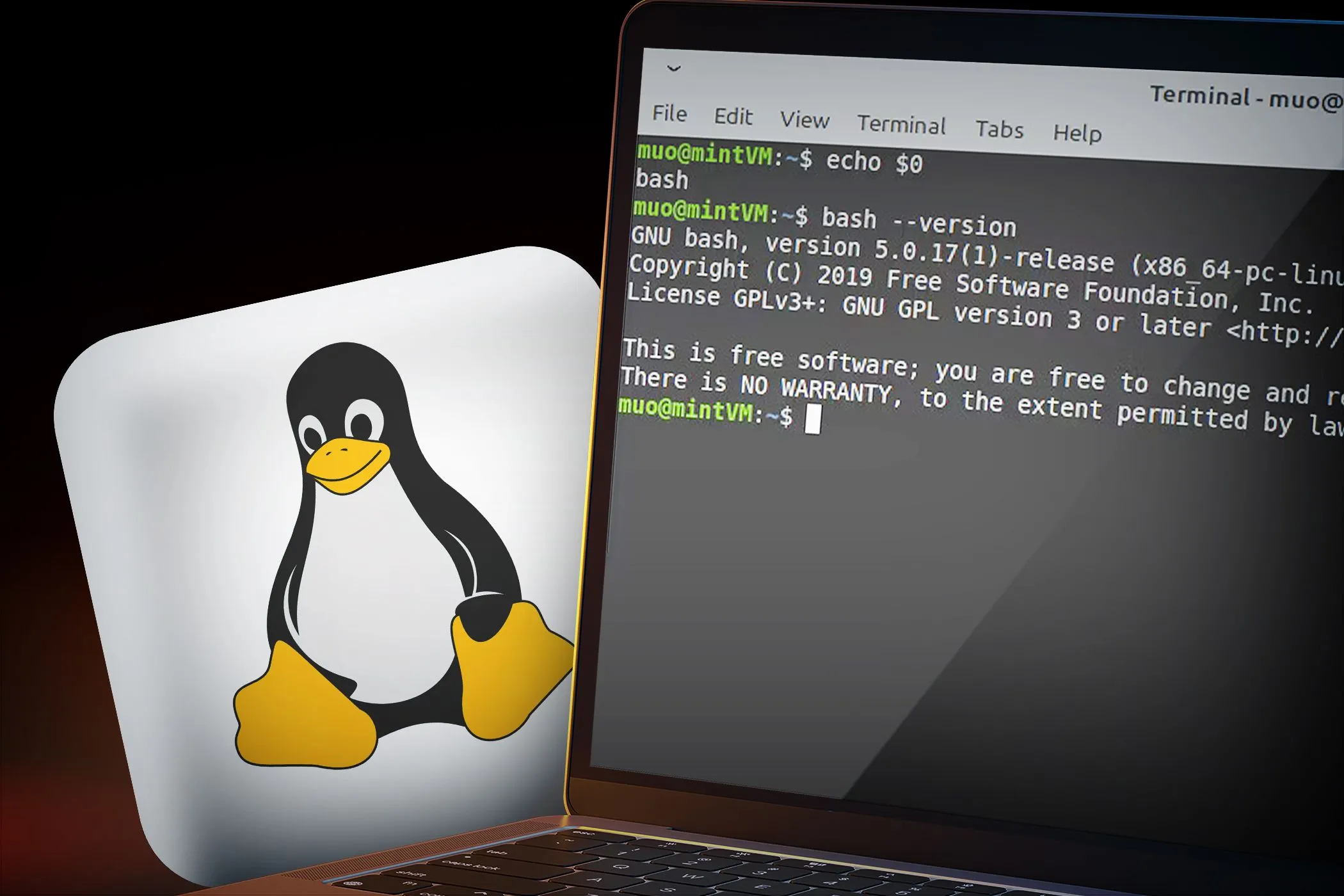 Màn hình laptop hiển thị giao diện dòng lệnh và logo Linux, minh họa tính bảo mật và quyền riêng tư của hệ điều hành mã nguồn mở