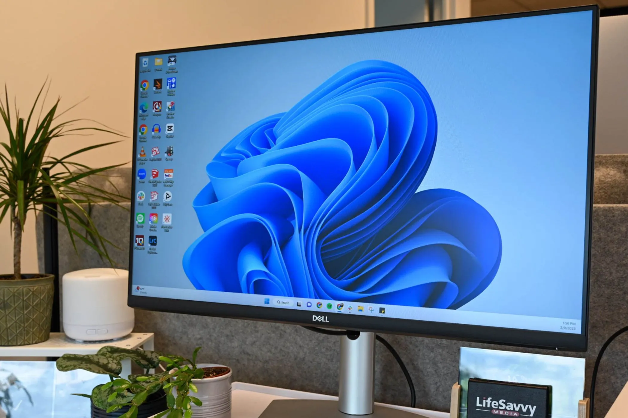Màn hình máy tính hiển thị logo Windows, minh họa cho những vấn đề và bất tiện khi sử dụng Windows 11