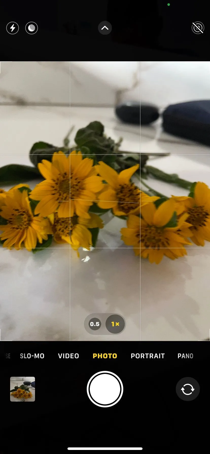 Màn hình ứng dụng camera iPhone với các đường lưới tỷ lệ (gridlines) được bật, hỗ trợ người dùng căn chỉnh bố cục ảnh chụp bằng điện thoại theo quy tắc một phần ba.