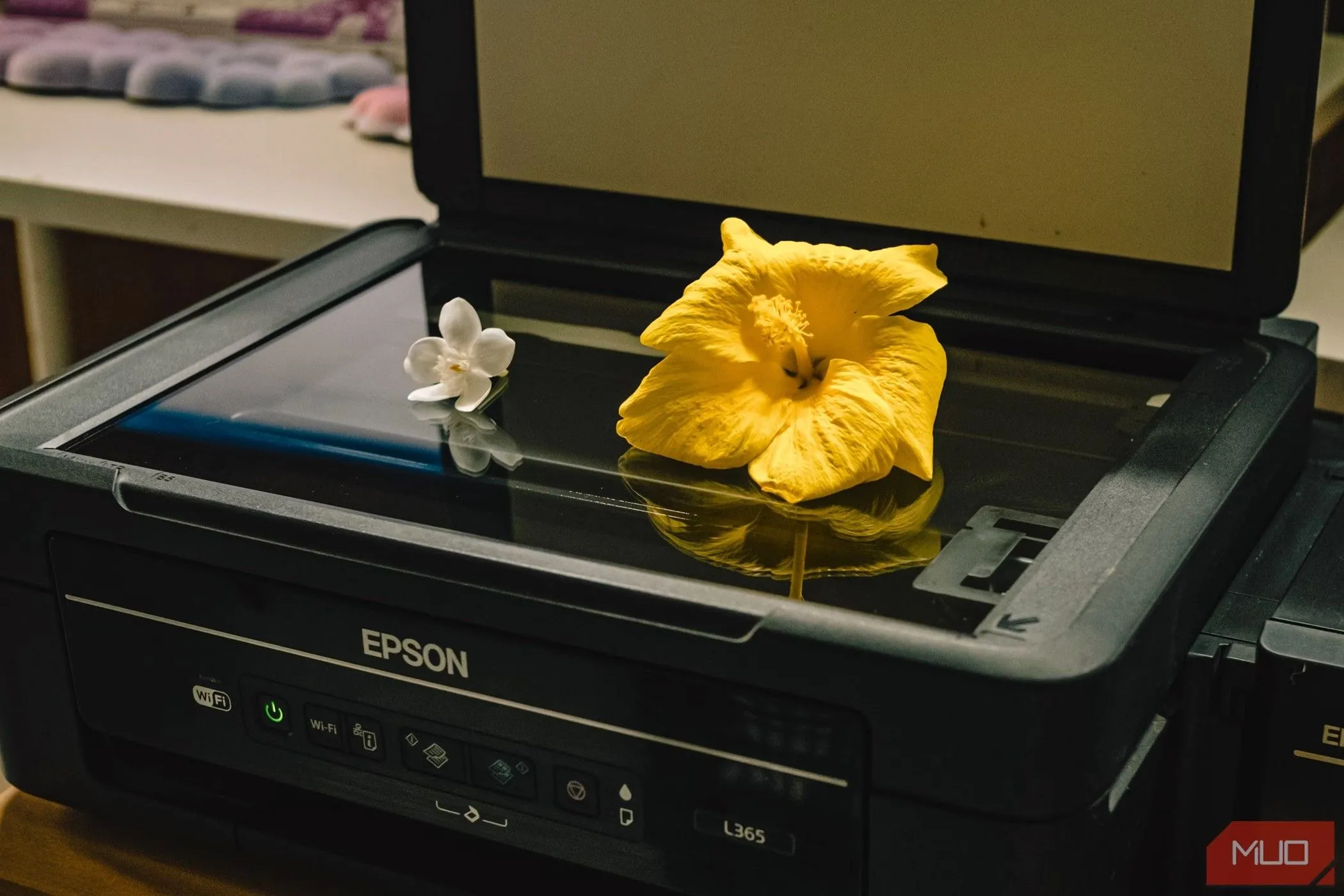 Máy quét phẳng (flatbed scanner) đang được sử dụng để số hóa tài liệu