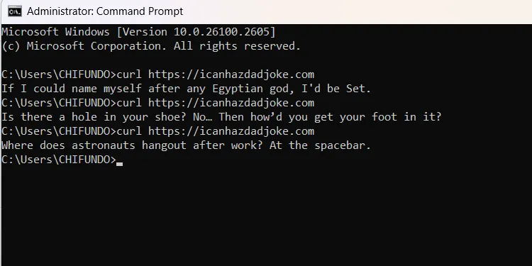 Một câu truyện cười ngẫu nhiên được tạo và hiển thị trong Command Prompt.