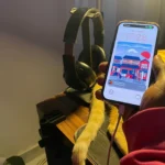 Người dùng đang cầm và sử dụng điện thoại iPhone trong khi thiết bị đang được sạc, minh họa việc vừa sạc vừa dùng iPhone có an toàn không