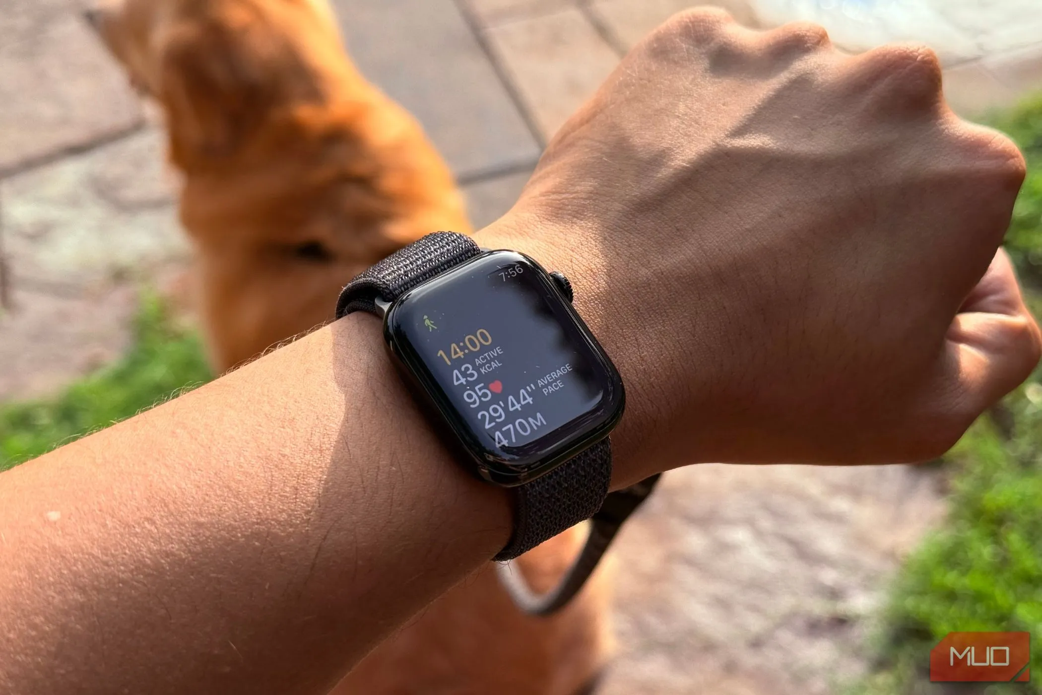 Người dùng đeo Apple Watch hiển thị dữ liệu tập luyện, minh họa tính năng theo dõi sức khỏe của đồng hồ thông minh