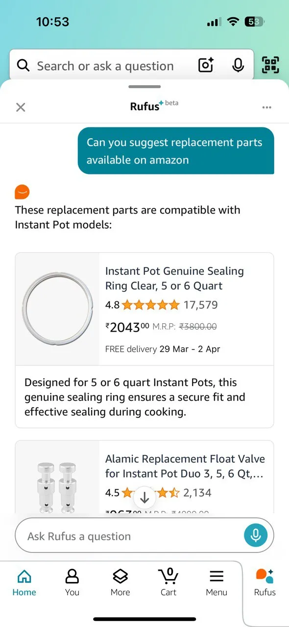 Rufus hiển thị hướng dẫn khắc phục sự cố nồi Instant Pot
