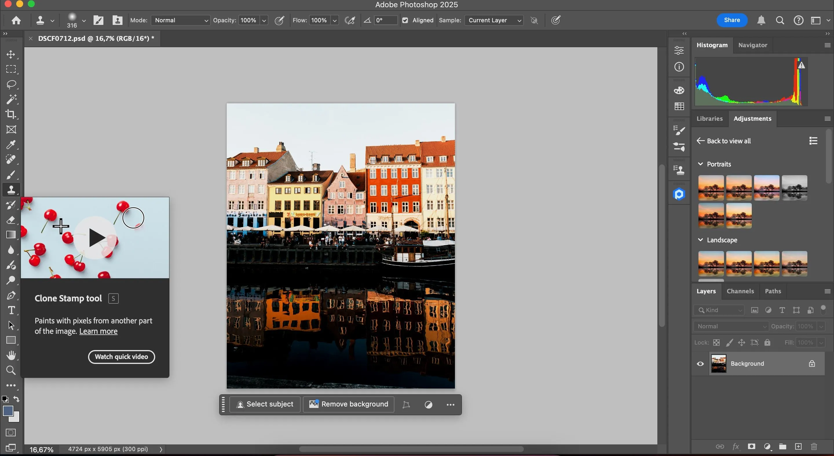 Sử dụng công cụ Clone Stamp trong Adobe Lightroom