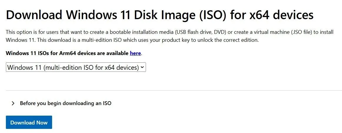 Tải file ISO Windows 11 từ trang download của Microsoft