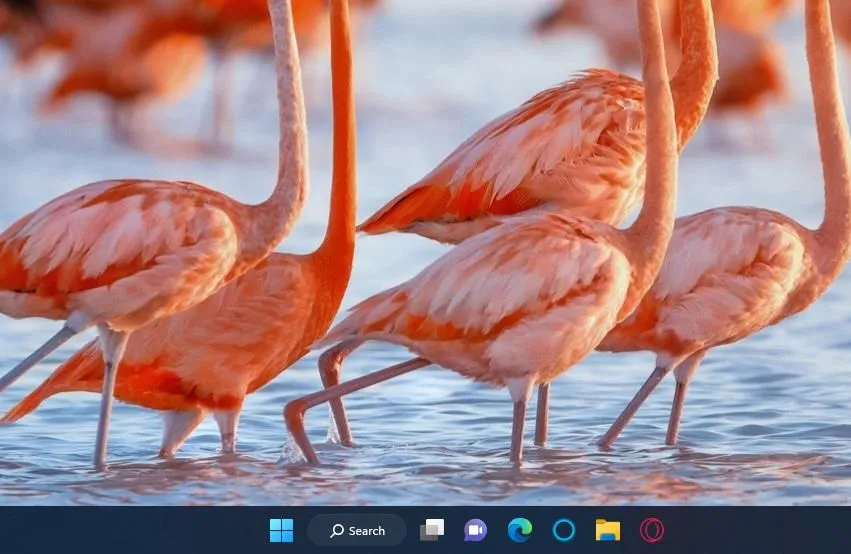 Thanh Taskbar gọn gàng của Windows 11 hiển thị các ứng dụng và thông tin hệ thống