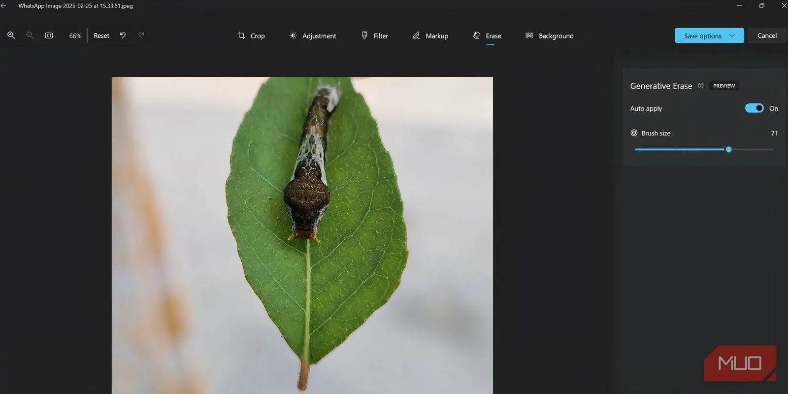 Thử nghiệm Generative Erase trong Microsoft Photos trên ảnh chiếc lá có côn trùng, đánh giá khả năng xóa vật thể trên phông nền tự nhiên