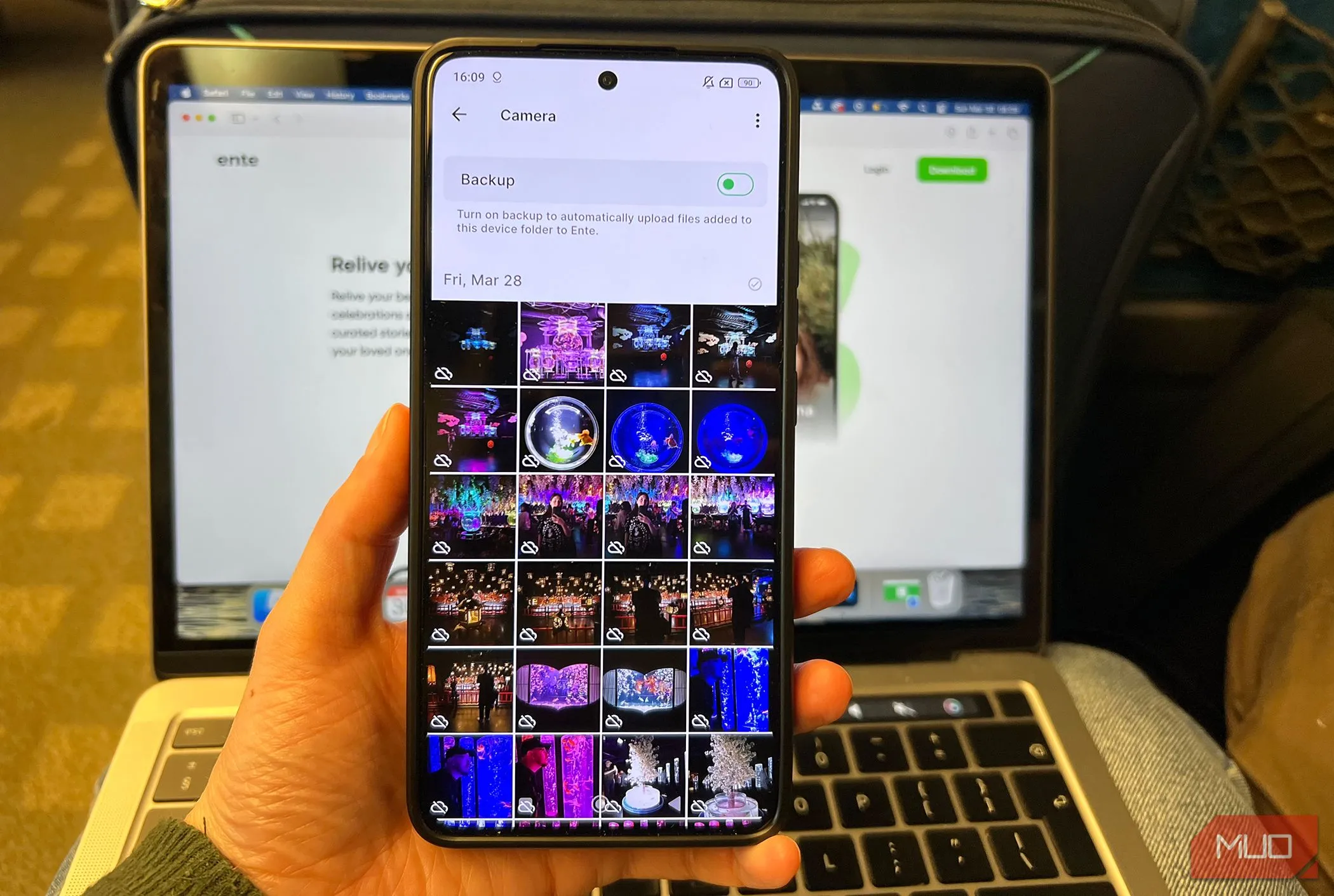 Thư viện ảnh Ente Photos sẵn sàng đồng bộ và sao lưu, hiển thị các bức ảnh đã được sắp xếp