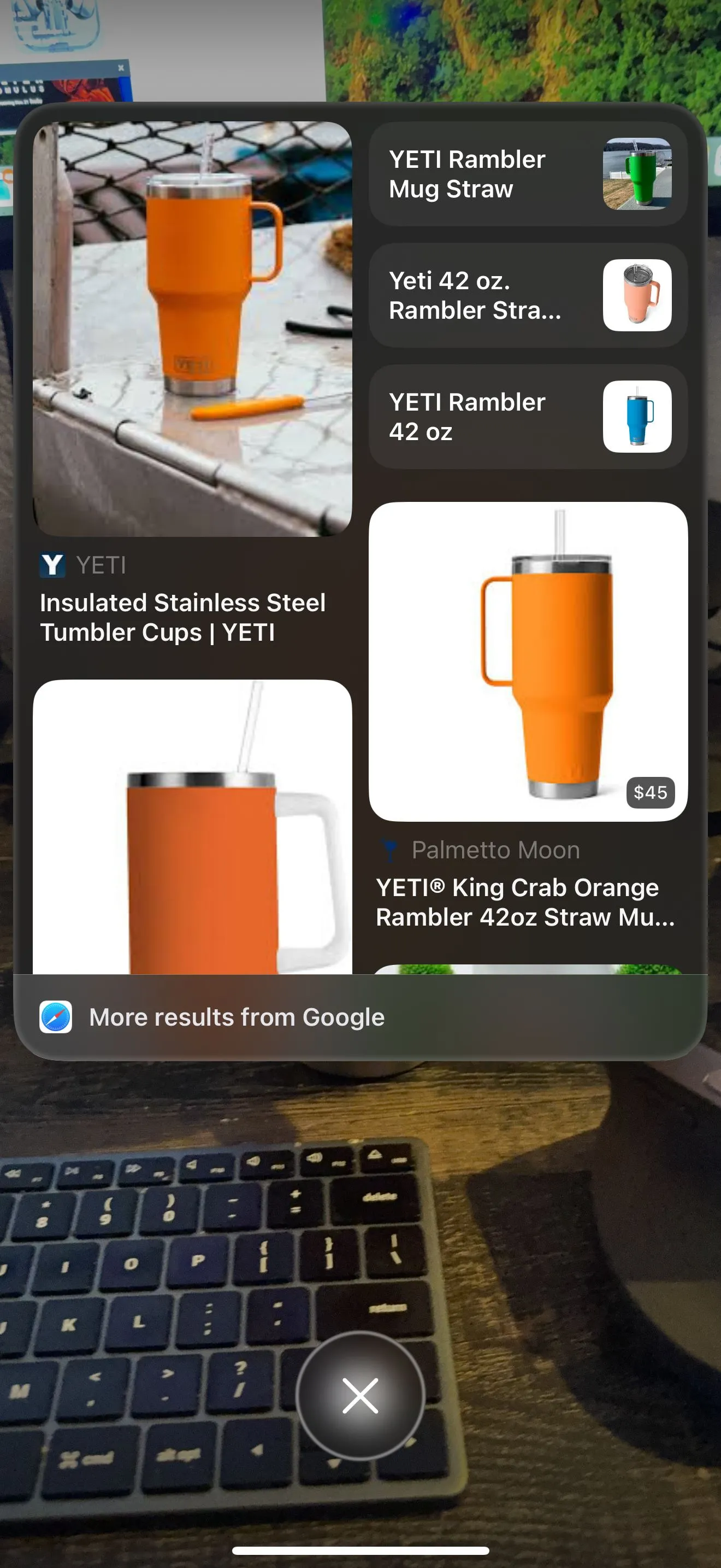 Tính năng Visual Intelligence trên iPhone tìm kiếm thông tin bằng Google.