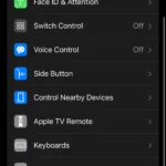 Trang Trợ năng trong ứng dụng Cài đặt iOS