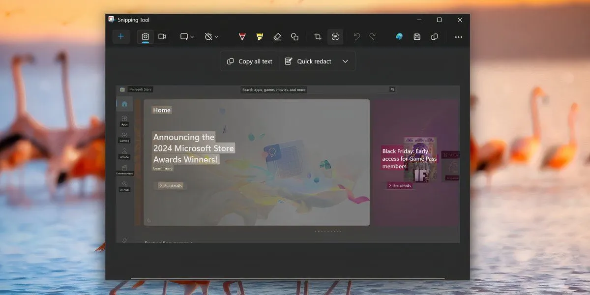 Văn bản được tô sáng với tùy chọn Text Actions trong Snipping Tool, minh họa khả năng nhận diện ký tự