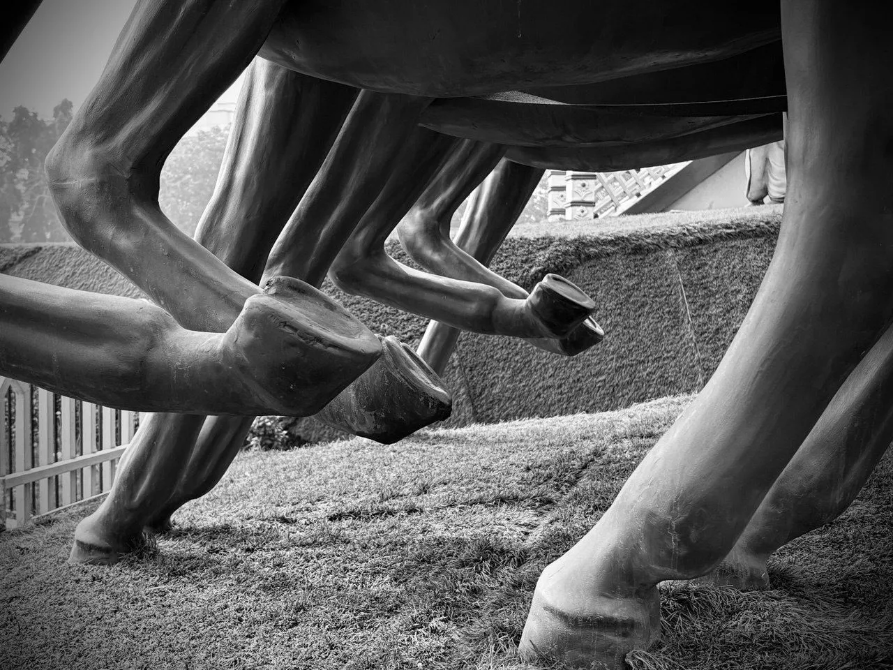 Ví dụ ảnh đường phố được chụp bằng Photographic Style Stark B&amp;W trên iPhone 16, thể hiện sự tương phản mạnh mẽ