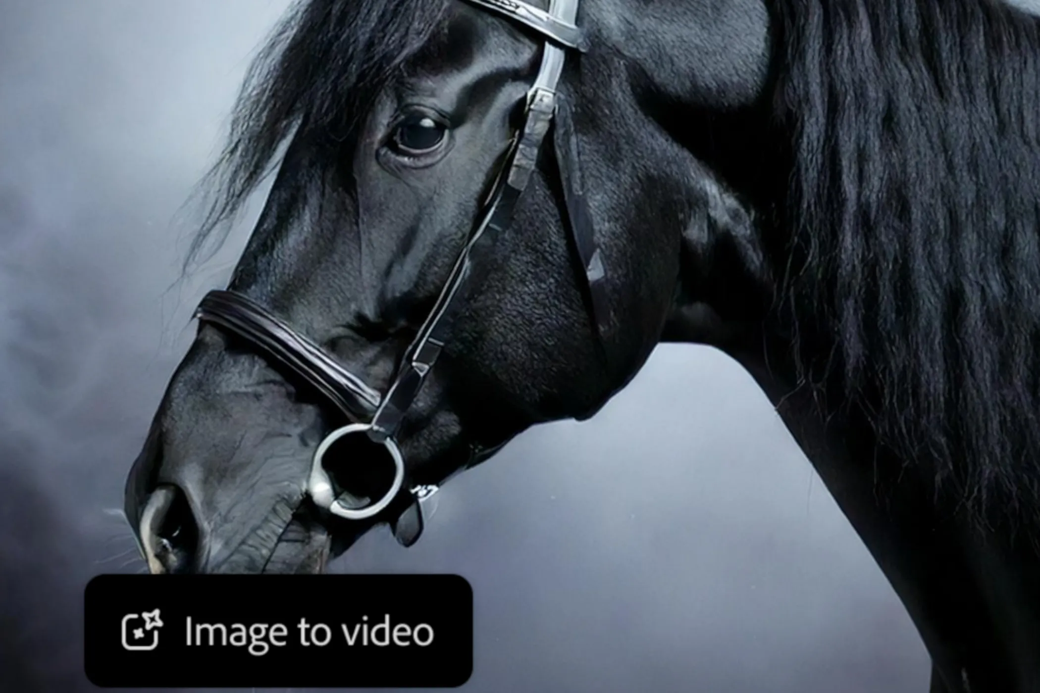 Ví dụ về tính năng Text-to-Video của Adobe Firefly, hiển thị cảnh một con ngựa trong sương mù, minh họa khả năng tạo video từ mô tả văn bản.