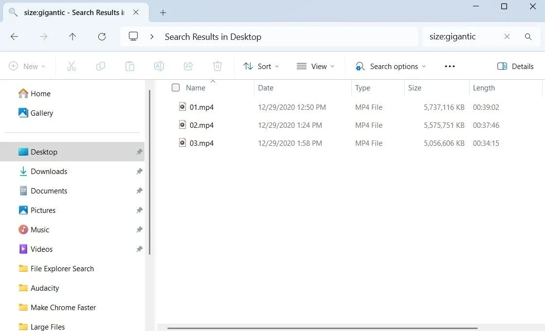 Windows File Explorer hiển thị các tệp tin lớn sau khi tìm kiếm theo kích thước